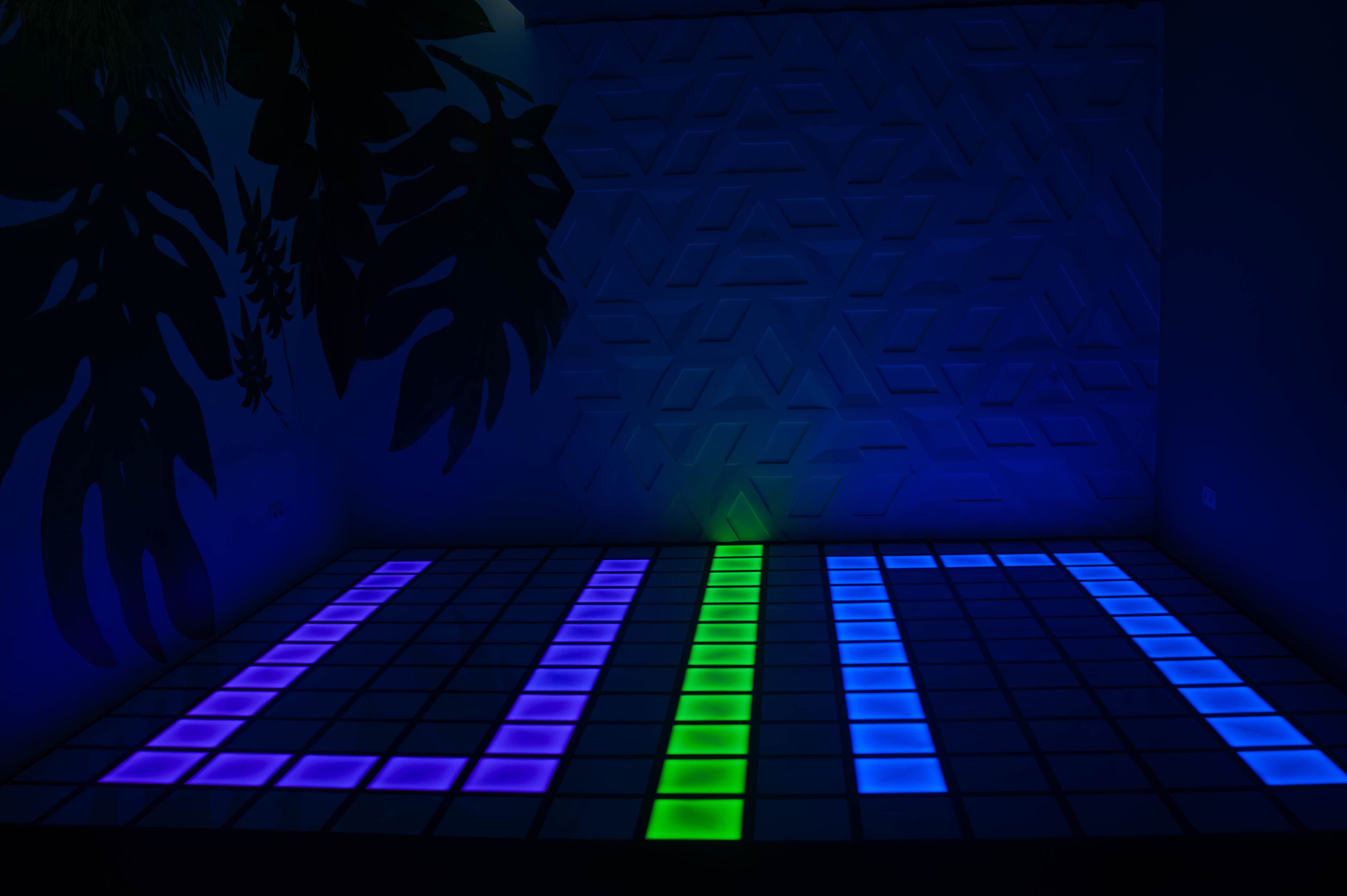 ІНТЕРАКТИВНА ПІДЛОГА